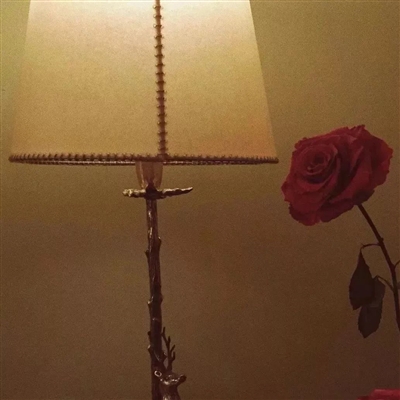 一眼就吸引人的头像可爱(精选24张)