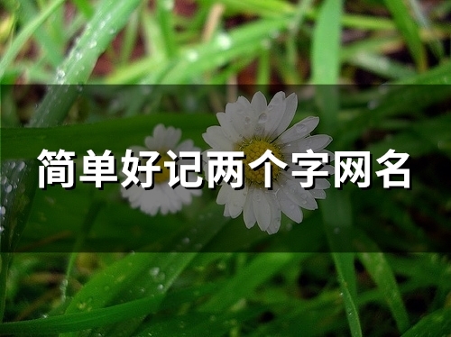 简单好记两个字网名(109个)