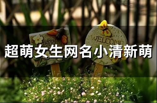 超萌女生网名小清新萌(精选83个)