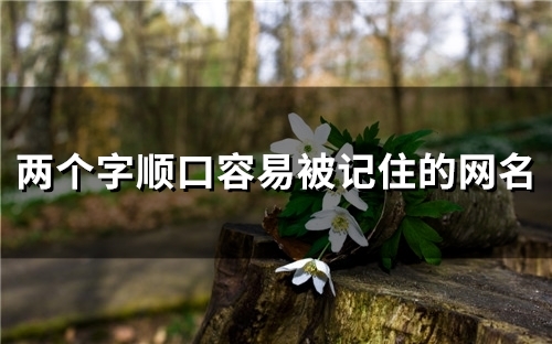 两个字顺口容易被记住的网名(精选113个)