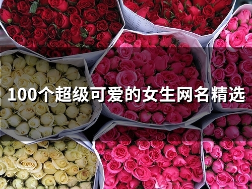 100个超级可爱的女生网名精选(200个)
