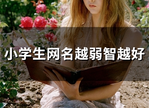 小学生网名越弱智越好(122个)