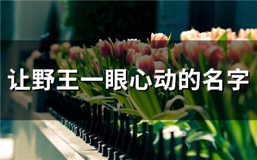 让野王一眼心动的名字(139个)