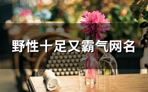 野性十足又霸气网名(151个) 野性十足又霸气网名(151个)