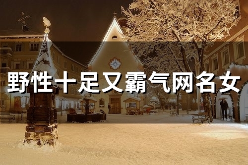 野性十足又霸气网名女(102个)
