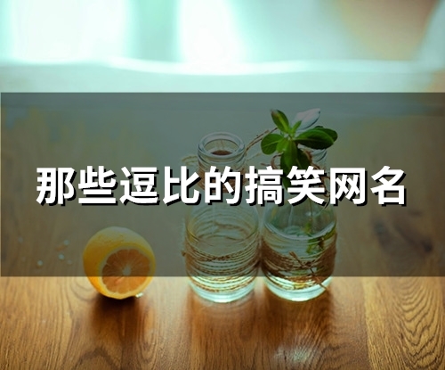 那些逗比的搞笑网名(精选99个)