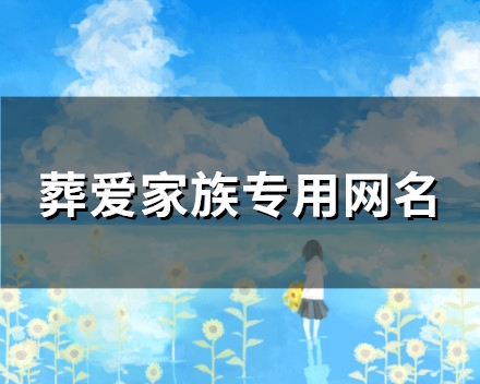 葬爱家族专用网名(89个)