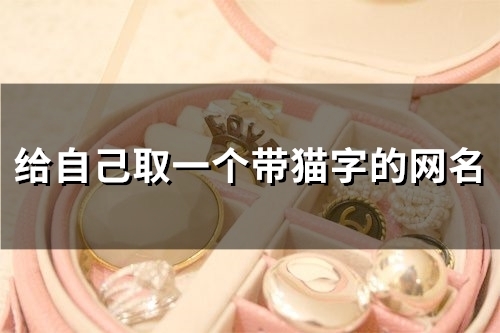 给自己取一个带猫字的网名(精选118个)