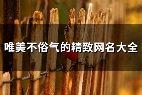 唯美不俗气的精致网名大全(134个)
