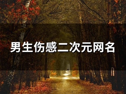 男生伤感二次元网名(96个)