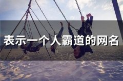 表示一个人霸道的网名(精选113个)