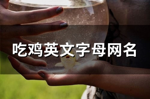 吃鸡英文字母网名(128个) 吃鸡英文字母网名(128个)