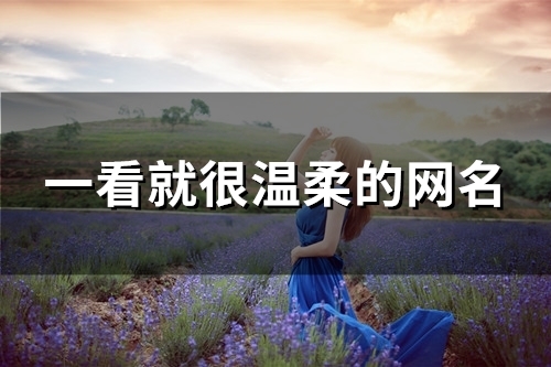 一看就很温柔的网名(精选91个)