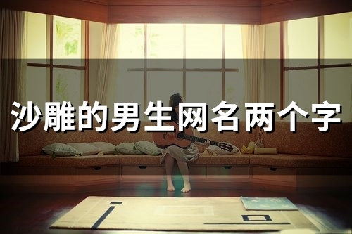沙雕的男生网名两个字(精选145个)