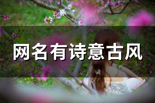 网名有诗意古风(精选148个)
