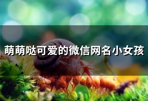 萌萌哒可爱的微信网名小女孩(精选113个)
