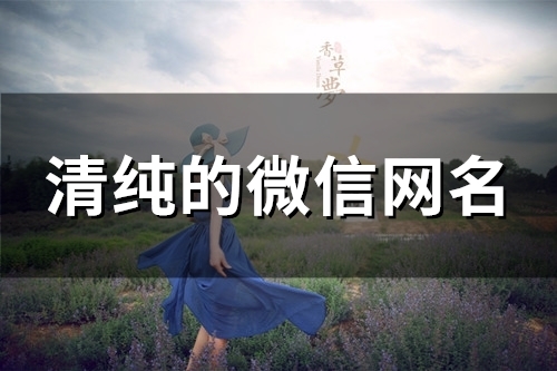 清纯的微信网名(精选112个)