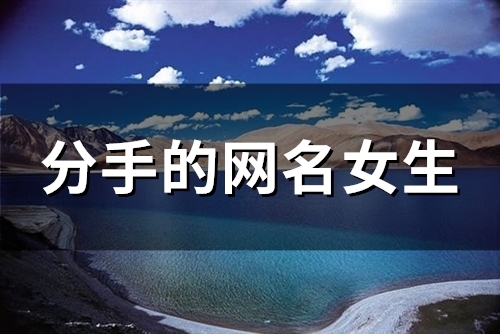 分手的网名女生(精选97个) 分手的网名女生(精选97个)