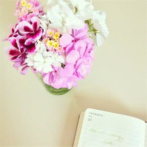 努力工作的微信头像图片大全2023(精选24张)