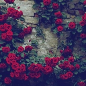 最有财气的微信头像(精选18张)