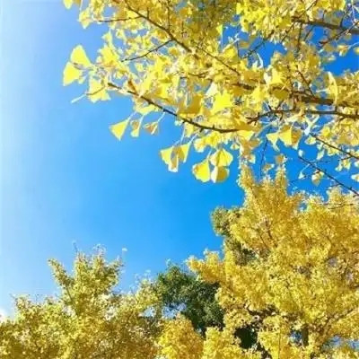 给人一种阳光的头像(精选24张)