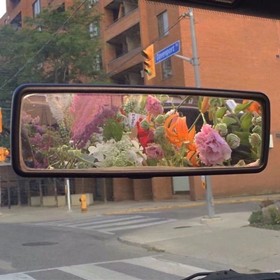 高清风景人物头像(22张)