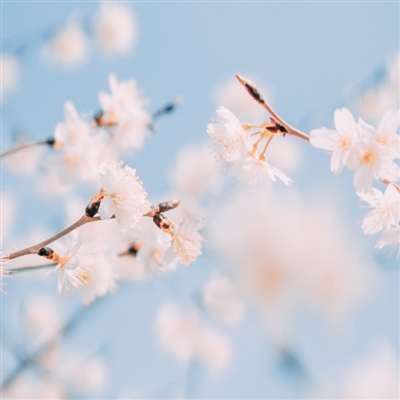 高清风景人物头像(22张)