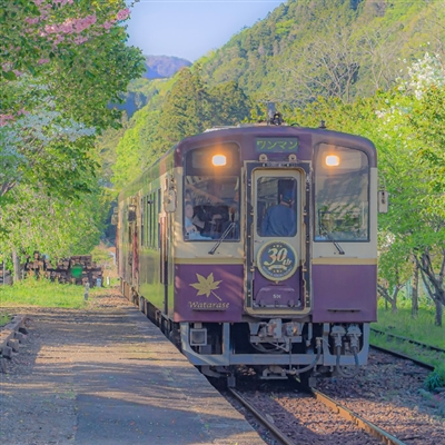 吉祥风景图片微信头像(精选22张)