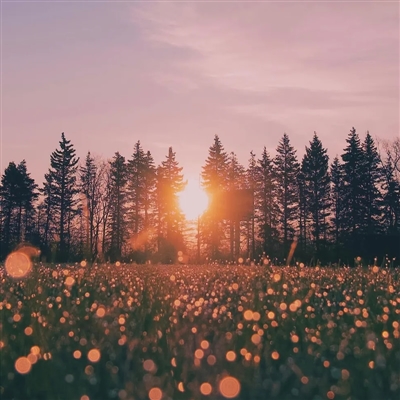 吉祥风景图片微信头像(精选22张)