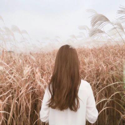 高清时尚的女生背影qq头像图片(18张)