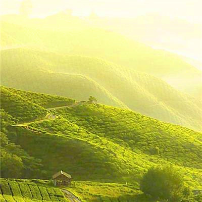 最健康吉利的微信头像(24张)