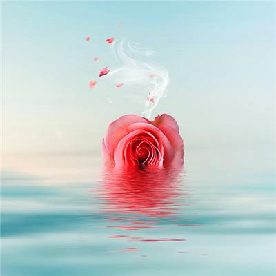 最健康吉利的微信头像(24张)