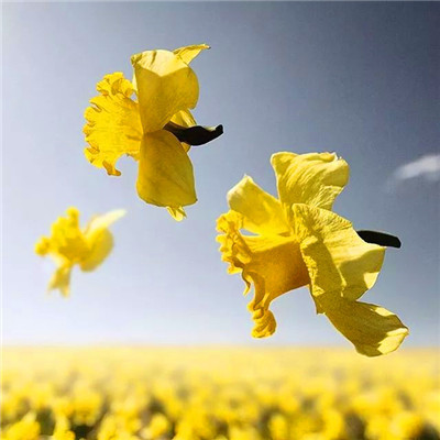 最健康吉利的微信头像(24张)