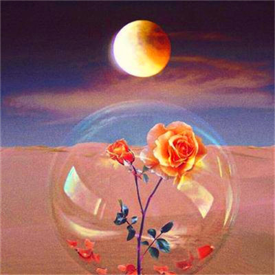 最健康吉利的微信头像(24张)