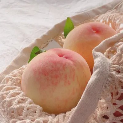 背景头像图片2023最火爆(26张)