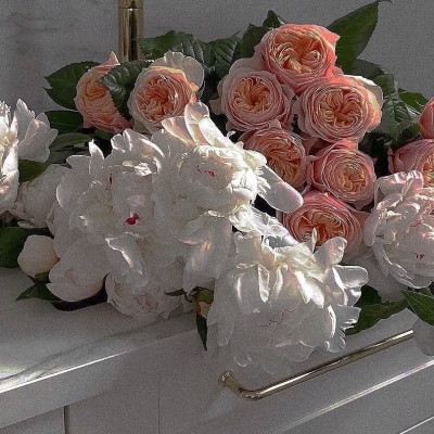 背景头像图片2023最火爆(26张)