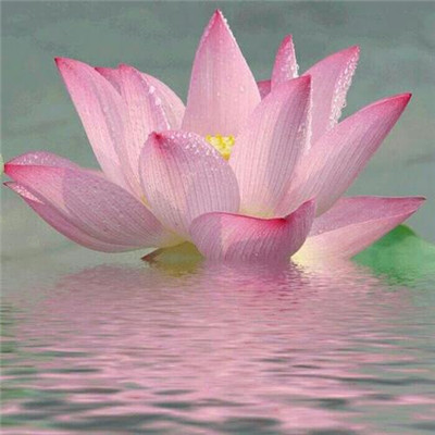 修道之人用的微信头像(精选34张)