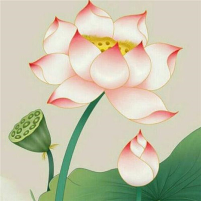 修道之人用的微信头像(精选34张)