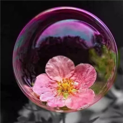 修道之人用的微信头像(精选34张)