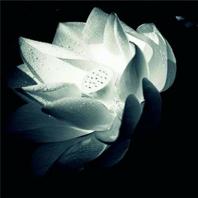 修道之人用的微信头像(精选34张)