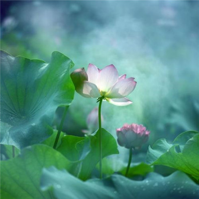 修道之人用的微信头像(精选34张)