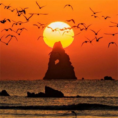 一看就舒心的微信头像图片大全(精选28张)