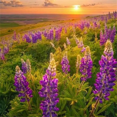 一看就舒心的微信头像图片大全(精选28张)