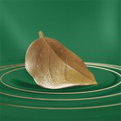 一看就舒心的微信头像图片大全(精选28张)