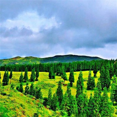 一看就舒心的微信头像图片大全(精选28张)