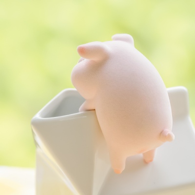 找一个看着舒心的微信头像(22张)