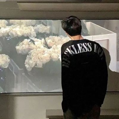 ins高质量情头头像(精选24张)