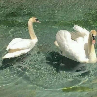 超火绿色头像女生头像(34张)