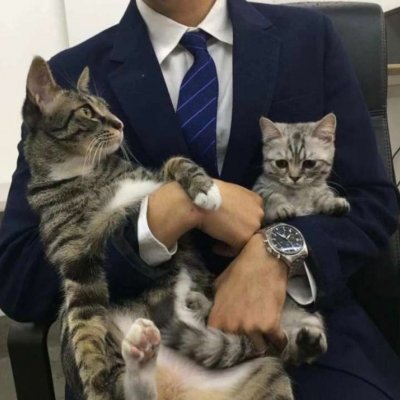 40岁的男人微信头像(30张)