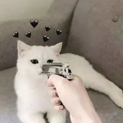 又高级又沙雕的微信头像(20张)